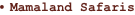 shapeimage_3_link_5